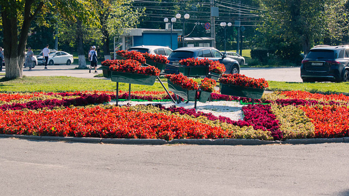 Количество цветов на улицах Владимира обещают увеличить в полтора раза